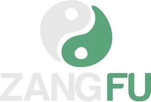 Zang Fu Massagem